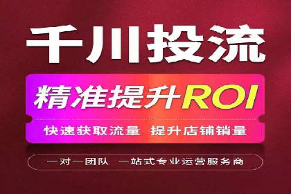 SEM广告投放中的数据监控与调整策略——以某品牌营销案例为例